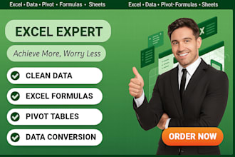 do excel data cleaning, formatting, formulas, and pivot tables