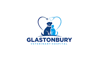 design veterinary hospital glastonbury connecticut logo