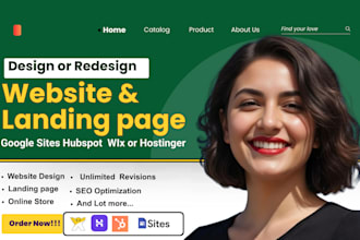 build wordpress elementor website design, hostinger, bluehost, godaddy expert