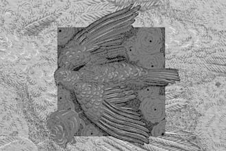 create illustrations for shoegaze or postrock album covers