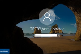 provide professional IT support and mentorship