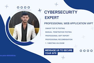 perform a professional web application vapt with a detailed report