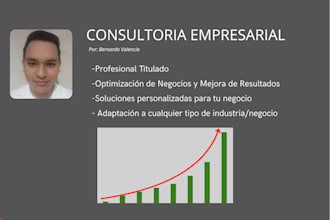 voy realizar una consultoría para optimizar tu negocio