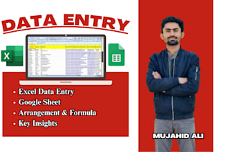 do fast and accurate data entry in excel or google sheets