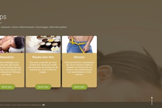 build a modern, responsive wordpress website with full cms
