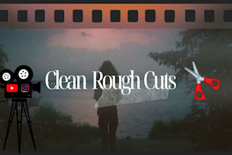 do a professional rough cut of your youtube vlog or podcast