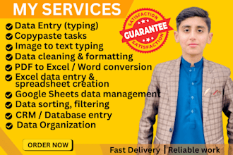 provide affordable and reliable data entry services