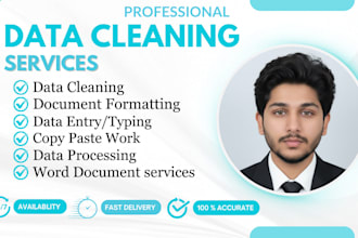 do data cleaning processing and formatting in excel and word documents
