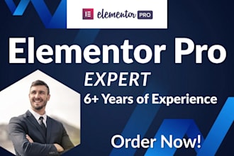 edit, design or redesign your website as an elementor pro expert