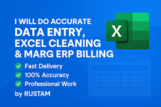 clean, format, and organize your excel data professionally