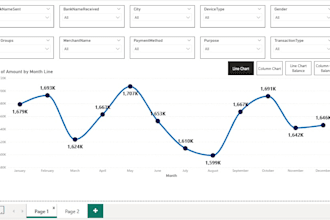 clean, analyze and visualize your data professionally
