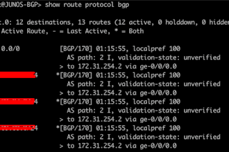 configure and troubleshoot cisco and juniper routers and switches