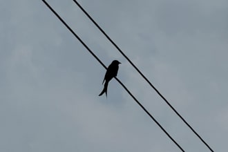 shoot aesthetic nature and lifestyle