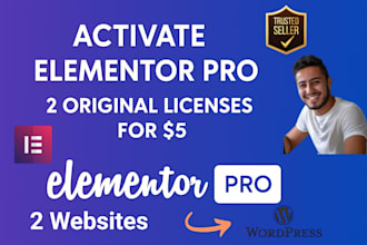 install and activate elementor pro 2 original license updatable on 2 domains