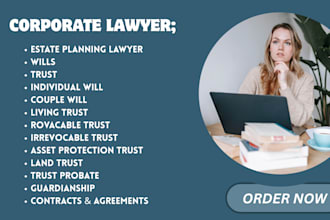 review wills, trusts, probate docs, guardianship and prenups