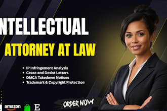provide intellectual property infringement analysis and legal opinion