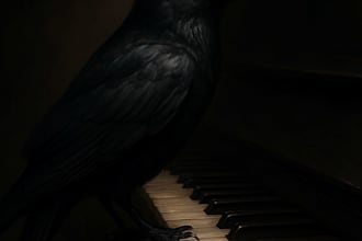 write for you song