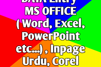 data entry in different ways ms office excell inpage urdu