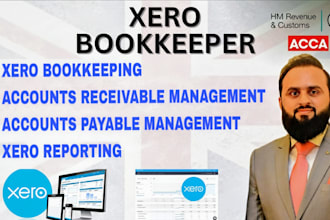 do xero bookkeeping and reporting