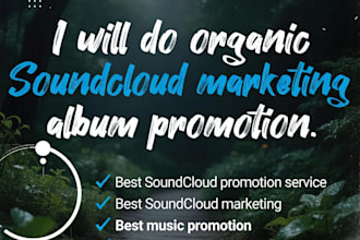 do organic soundcloud soundcloud marketing album promotion