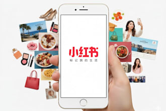 offer consultation on any issues related to your xiaohongshu rednote