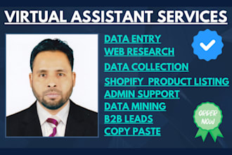 be your virtual assistant for data entry and admin support