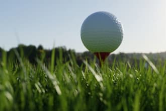 render golf ball, model golf showroom, sport center facility, ceiling layout