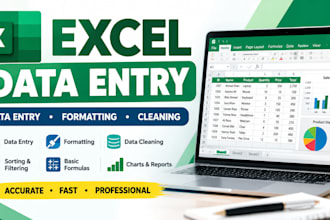 be your excel expert for data entry and spreadsheets