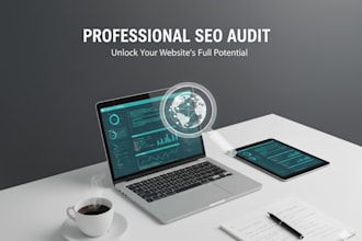 perform a professional SEO audit to increase your site traffic