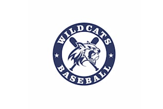 design high quality little league team logo