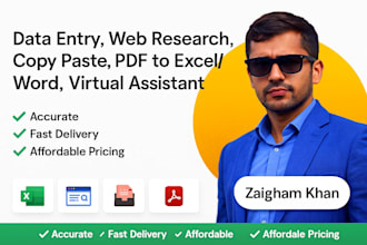 do data scraping, data entry, email leads, copy paste, pdf to excel data entry