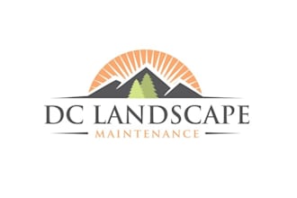 design remarkable landscape pine or spruce tree logo