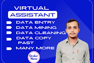 data entry, clean, format, merge, split ,excel data