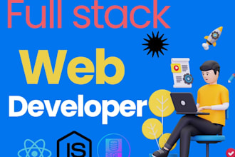 develop professional fullstack web applications