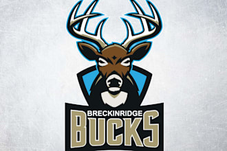 design a premium custom mascot hockey team logo