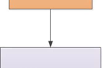 create an IMPRESSIVE flowchart diagram
