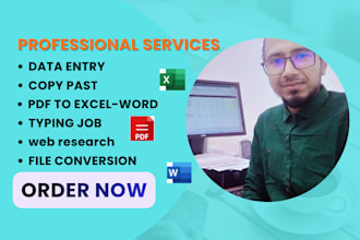 do data entry , copy paste , web research , microsoft excel