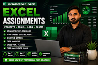 do your microsoft excel ,ms word assignments, projects and modules
