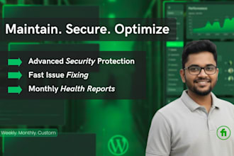provide expert wordpress website maintenance and security