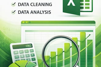 clean,format,and organize your data in excel professionally