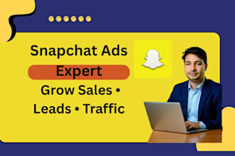 set up and manage snapchat ads campaign for your business