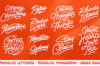 create vintage hand drawn monoline lettering and typography