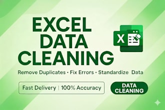 professionally clean and organize your excel data