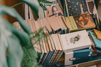 write on literature,essay,critical analysis in novel and plays