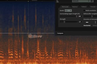 denoise the audio in your footage at a pro level