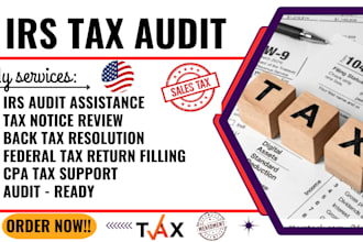 irs audit help, back taxes resolution and tax return filing by a CPA