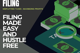 file your fbr tax returns and discount for first 10 buyers