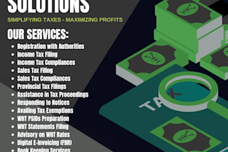 handle your business taxes and compliance with fbr
