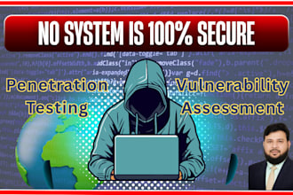 do web app penetration testing, vulnerability based cybersecurity audit