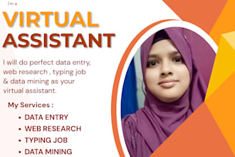 do professional data entry, web research and typing job